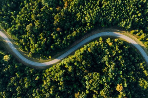 Strada nella Natura