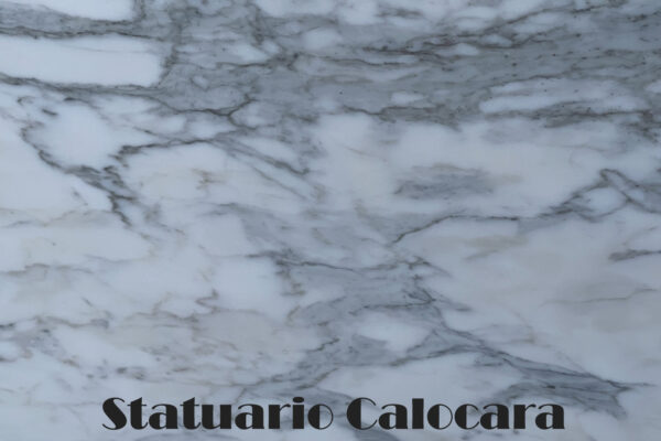 Copertina Texture Statuario Calocara