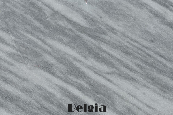 Copertina Texture Belgia